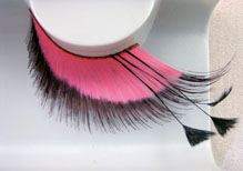 000434_nere_rosa_con_piume.jpg